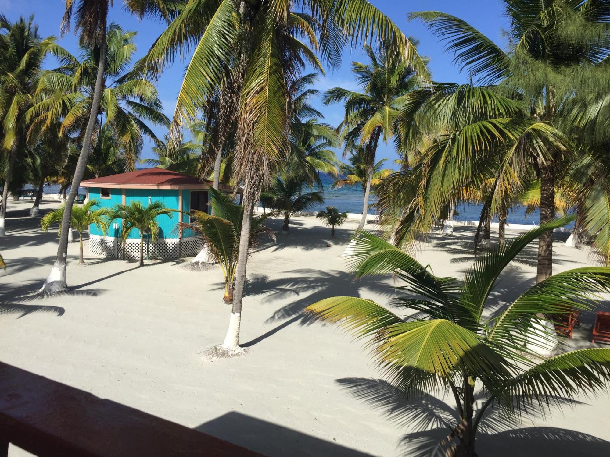 Blue Marlin Beach Resort Dangriga Exterior photo