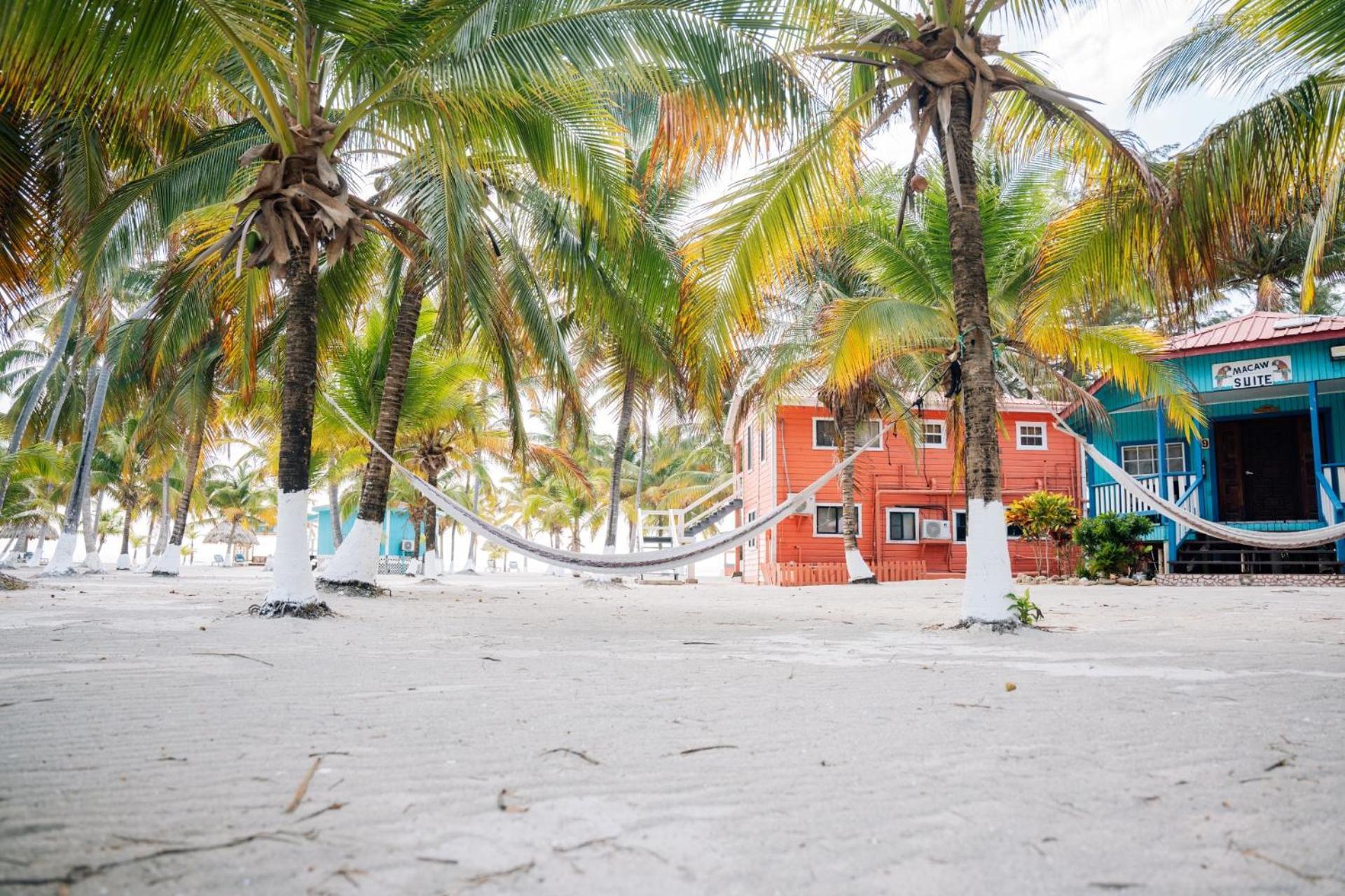 Blue Marlin Beach Resort Dangriga Exterior photo