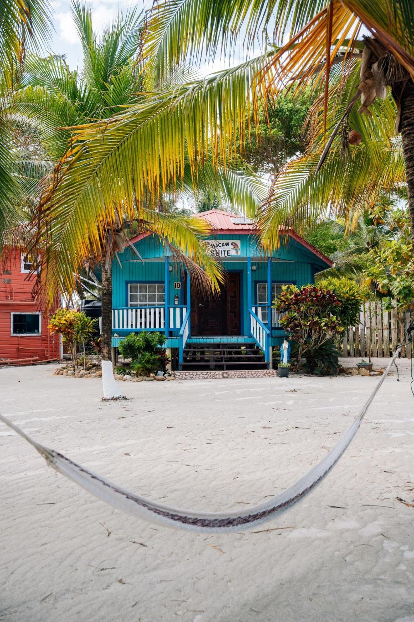 Blue Marlin Beach Resort Dangriga Exterior photo